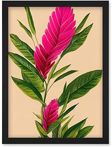 Wee Blue Coo Tropical Hawaiian Botanical Exotic Pink Floral illustration Artwork Framed Wall Art Print A4