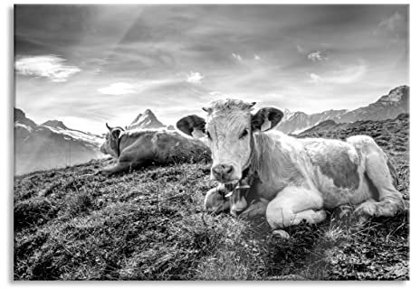 Pixxprint Glasbild, Wandbild aus Echtglas, Simmentaler Kühe vor Schweizer Alpen, Monochrome, 80x60 cm, inkl. Aufhängung und Abstandshalter