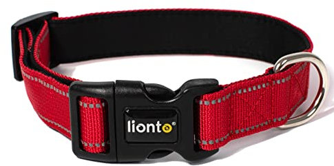 lionto Hundehalsband aus strapazierfähigem Nylon, Größe S, weiches gepolstertes Halsband für Hunde, 360° reflektierend & Klickverschluss, Metallring & Anpassung durch stufenlosen Schieber, rot