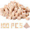 YQBFTC 100 Stück Kleine Holz Würfel 20mm,Holzwürfel Blanko Deko,Natürliche Blanko Holzklötze,Holzblöcke Bauklötze zum Basteln,holzklötzchen Holzquadratblöcke für DIY,Malen,Handwerk,Dekoration,Zahlen