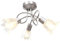 vidaXL Plafonnier et Abat-jour Lustre Lampe Suspendue Luminaire d'Intérieur Salon Chambre à Coucher Verre Transparent 3 Ampoules E14 Tulipe