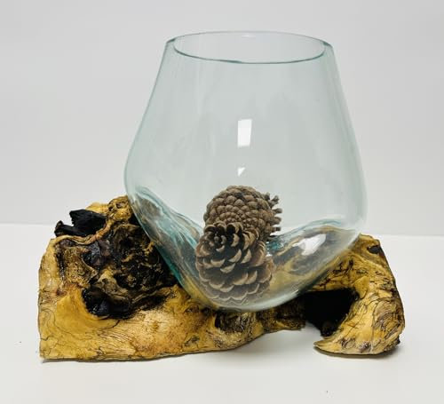My Square Mile Molten Glass Round Decorative Bowl On Wood Root Stand Glass Rustic Ornament Sculpture Key Sweet Display Dish (Extra Large)
