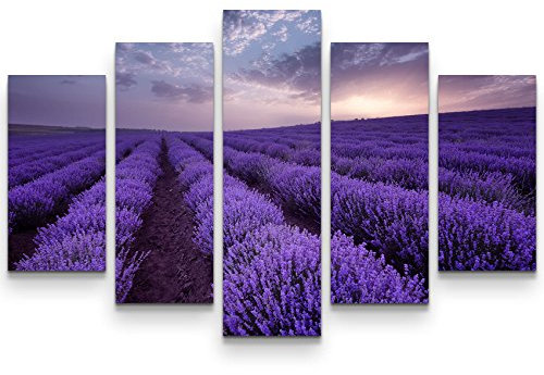 Paul Sinus Art Leinwandbilder | Bilder Leinwand 160x100cm Lavendel Feld