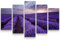 Paul Sinus Art Leinwandbilder | Bilder Leinwand 160x100cm Lavendel Feld