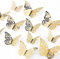 AIEX 24 Stück 3D Schmetterlinge Ornamente Gold Vivid Abnehmbare Aufkleber mit 3 verschiedenen Größen, für Wandtattoos, Kinderzimmer Ornamente, Hochzeitsfeier Dekor