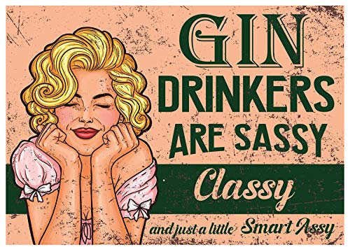 Bang Tidy Clothing Gin Gifts for Women Gin Lovers - Funny Vintage Style Metal Signs Tin Plaques for Home Bar Kitchen Gift for Her Gin & Tonic Diet 200 mm x 150 mm