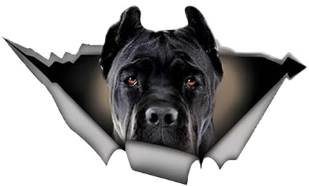 Autoaufkleber Cane Corso Aufkleber 15cm(5.9 Inch) Cane Corso Car Sticker 3D Zerrissen Reflektierende Autoaufkleber Wasserdichte Haustier Hund Aufkleber Laptop Stoßstange Heckscheibe Dekor