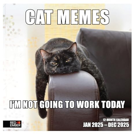 RED EMBER Cat Memes Wandkalender 2025, 12 Monate, 30,5 x 61 cm, offen, dickes und stabiles Papier, Geschenk, Kalender 2025