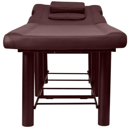 Ynnhik Table de Massage Professionnelle, Table de Spa, Banc de Massage, lit de Veille, Cadre en métal, Table de cosméthétique avec Repos Dorsal réglable pour Salon de Coiffure