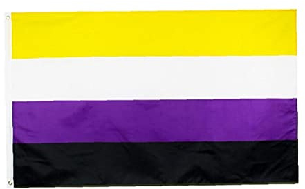 PiniceCore 3x5 Ft Nicht-binärer Pride-Flagge-lebhafte Farbe Doppelt Genäht Asexueller Gender Identity-flaggen Polyester Messing-tüllen