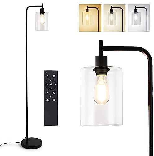 Stehlampe Wohnzimmer, Modern Industrial Stehlampe Schlafzimmer Dimmbare mit klarem Glasschirm 800 Lumen Weißes Stehleuchte Fernbedienung & Fußbedienung 2700K-6500K Schwarz 166cm