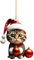 2025 Neues Katze Weihnachtsdeko Weihnachtsbaumschmuck Weihnachten Acryl Katze Dekor Eulen Anhänger Niedliche Katze 2D Anhänger Weihnachten Deko für Außenbereich Innen (H)