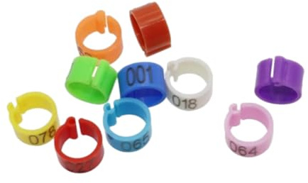 100 anillos de plástico para patas de pájaros, de 2,7 mm, 3 mm, 4 mm, 4,5 mm y 5 mm, para palomas pequeñas, loros y palomas.,Aleatorio,3 mm