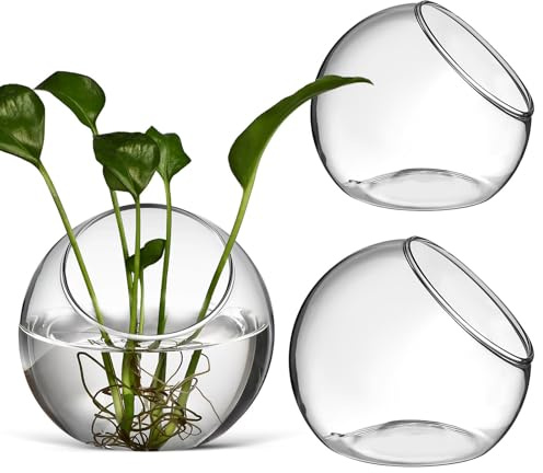 HOMSFOU Set de 3 Pots en Verre Ronds pour Plantes Hydroponiques, Vase Hydroponique Créatif et Chic, pour Décoration Maison et Fête