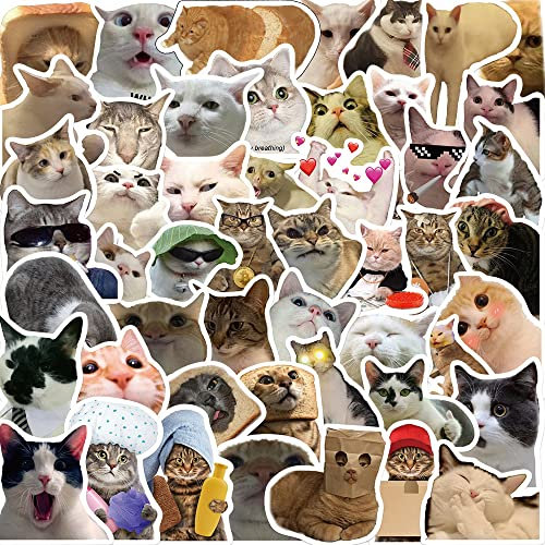 Bric Dodo 50 Stück Meme Aufkleber Wasserflaschen Laptop Telefon Gitarre Skateboard Computer Koffer Fahrrad Katze Cat Vinyl Stickers Wasserdicht Ästhetisch Aufkleber für Jugendliche Kinder Erwachsene
