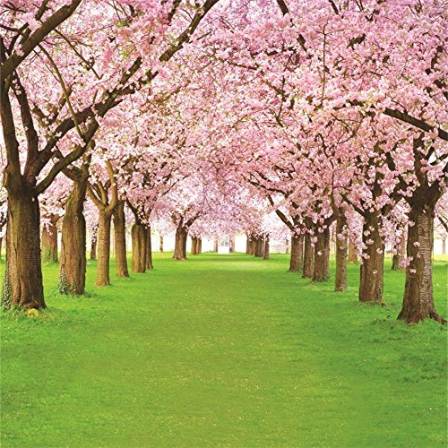 AOFOTO 8x8ft Spring Cherry Flower Photography Backdrop Floral Blossom Tree Background Park Natural Scenery Green Grass Pathway Photo Studio Props Adult Girl Woman Lady Mother Portrait Vinyl Wallpaper