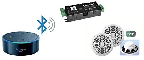 2 x 15W Bluetooth Stereo Amplifier and 5 inch Ceiling Speaker Kit for Amazon Alexa Echo Dot