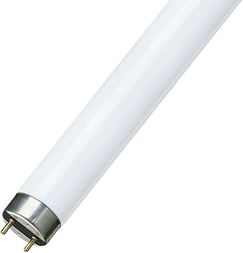 DSTOCK60 - Néon T8 18w - Blanc chaud 830-3000 k - Culot G13