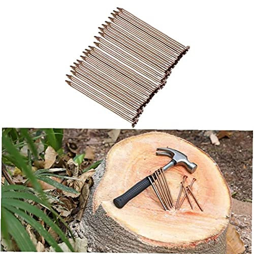 Ruluti 3cm Nail Assortment Kit (1000pcs), Brass Plated Nails for Hanging Pictures Wall Mounting and Woodworking