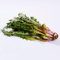 semi di tarassaco, piante da appartamento resistenti ortaggi invernali fiori esotiche giardino erbe aromatiche interno 2500pcs