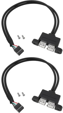 Be In Your Mind 2 x 9-polige auf Dual-USB-2.0-Anschlüsse, zusätzliches Kabel, 0,3 m, kompatibel mit ASRock DeskMini-Motherboard