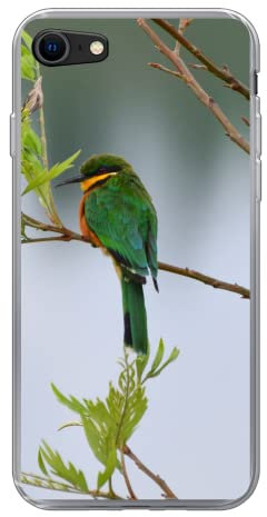 MuchoWow Funda para iPhone SE 2020 - Abejaruco Enano en la Rama de un árbol con Agua al Fondo - Funda de Silicona/Funda Blanda para teléfono móvil