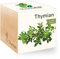 Feel Green - WE CREATE NATURE 298613 Feel Green Ecocube Thymian, Bio Samen, Nachhaltige Geschenkidee (100% Eco Friendly), Grow Your Own/Anzuchtset, Pflanzen Im Holzwürfel, Made in Austria