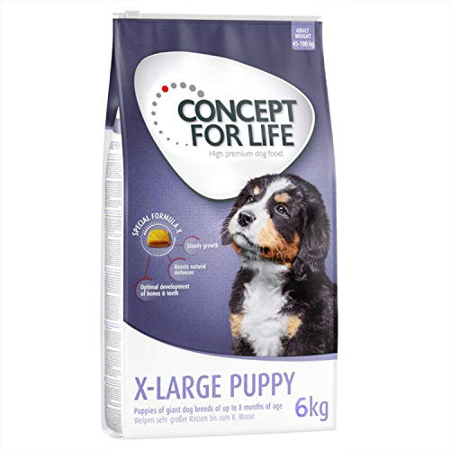 Concept for Life Welpenfutter für große Rassen, ohne Aroma, 6 kg