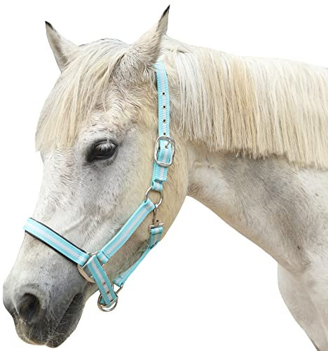 Verdicktes Pferdehalfter für Reiten, verstellbar, Sicherheitshalfter, Halfter, Halfter, Halfter, Rennsport, Ausrüstung, Trainingsseil (voll, grün)