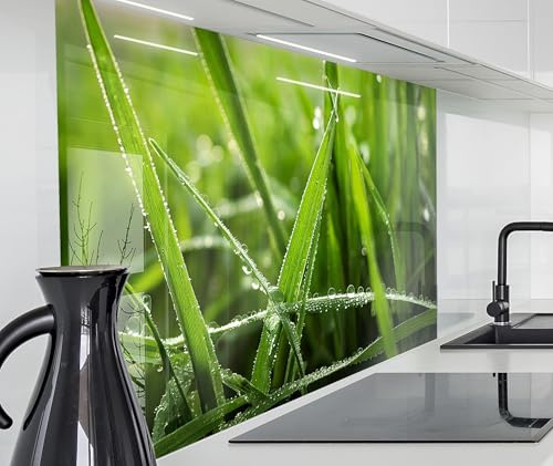 timalo Spritzschutz Wand für Herd, Küche Küchenrückwand Glasoptik | Acryl Glas 2mm | Glasrückwand Acrylglas Wandpaneele Rückwandschutz Platte | 80x50cm Gras mit Regentropfen