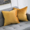 MIULEE 2er Set Samt Kissenbezug Flansch Kissenhülle Dekorative Sofakissen Dekokissen Umwickelte Kante Kissenbezüge Zierkissenbezug für Sofa Wohnzimmer Schlafzimmer 40x40 cm Golden