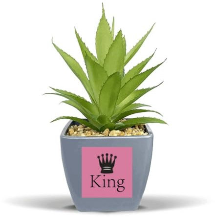 no/no Queen Black Word Chess Game Fake Ananas Blumentopf Vase Mini Decor