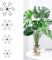 24 Pcs Soportes para Plantas Monstera, Anillo para Sujetar Plantas Perennes, Estacas de Soporte para Plantass, Clips Anillo de Soporte Reutilizables para Flores Tomate Rosas Jardín Interior(Negro)