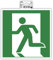 Exacompta - Réf. 67002E - 1 panneau adhésif Évacuation gauche - En PVC traité anti-dérapant et résistant aux UV - Dimensions : 20 x 20 cm - Coloris vert et blanc