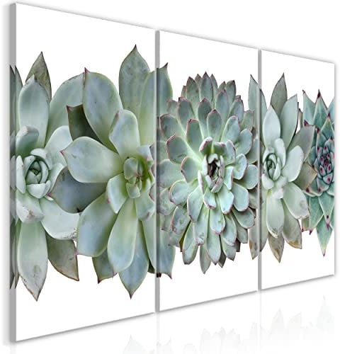 decomonkey Bilder Pflanzen 120x60 cm 3 Teilig Wandbild Groß Leinwandbild XXL Deko Wohnzimmer Schlafzimmer Büro Wanddeko Leinwand Pictures For Wall Poster Modern Agave Aloe Vera Botanik grün