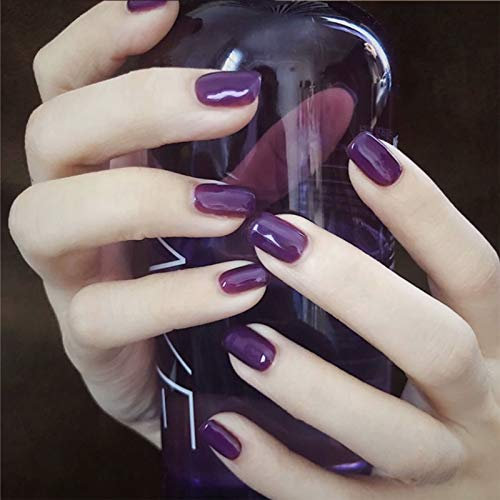 Allereya Coffin Faux ongles courts à presser violet brillant Faux ongles à clipser en acrylique pour les femmes et les filles 24 Pcs (violet)