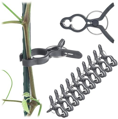 KADAX 10 x Pflanzenklammern 7.5x5.5cm für Tomaten, Gurken, Rosen und andere Kletterpflanzen, Pflanzenclips Klein, Rankhilfe für Rankpflanzen, Tomatenclips (Grau)