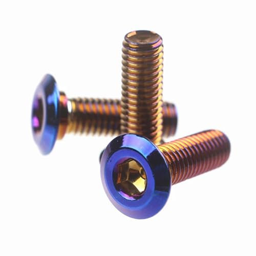 RDWSPLI Moto Boulons Et Écrous Compatible avec Yamaha M8 * 25mm, Pièces Générales, Disque De Frein/Rotor, Vis, Boulons en Acier Inoxydable, Titane Brûlé Universel
