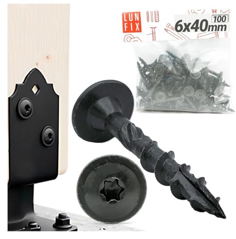 Lot de 100 vis à bois 6 x 40 mm, avec tête disque, vis Torx galvanisées pour supports de poteaux, vis pour construction sèche, fixation pour panneaux acoustiques en bois, extérieur noir Lun Fix