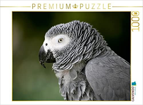CALVENDO Puzzle Graupapagei 1000 Teile Puzzle quer | Lege-Größe cm Foto-Puzzle für glückliche Stunden
