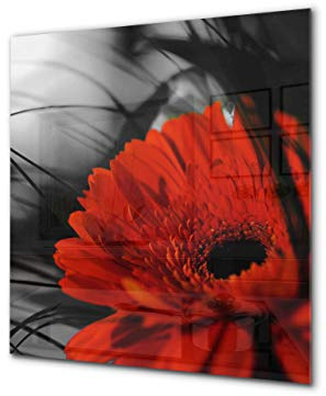 Glass kitchen backsplash – Tempered Glass splashback – Photo backsplash BS03 Flower Series: Red Flower 6