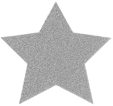 Primaflor - Ideen in Textil Tisch Platzset Weihnachtstischdekoration Glimmer Stern - Silber, 16,5 cm, Untersetzer, Platzdeckchen