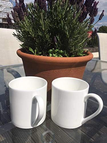 Dreamair 1 Pint Fine Bone China Mug x 2