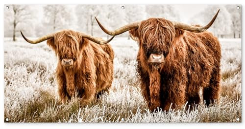 MuchoWow© Gartenposter Groß 160x80 cm XXL Outdoor Bilder Gartendeko für draußen Wetterfest Sichtschutz Garten Deko PVC Banner Draußen Bild Schottischer Hochländer - Kuh - Natur - Winter
