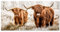 MuchoWow© Gartenposter Groß 160x80 cm XXL Outdoor Bilder Gartendeko für draußen Wetterfest Sichtschutz Garten Deko PVC Banner Draußen Bild Schottischer Hochländer - Kuh - Natur - Winter