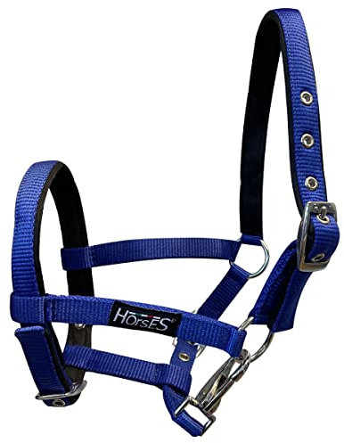 Horses, Fohlenhalfter, Modell Foal, Komfortables Halfter zum Führen des Fohlens an der Hand oder zum Sichern beim Putzen, Satteln oder Transportieren
