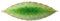 Costa Nova, Riviera Kollektion, Steinzeug Geschirr, Lorbeerblatt, tomate (grün), 18 cm, 6 teilig