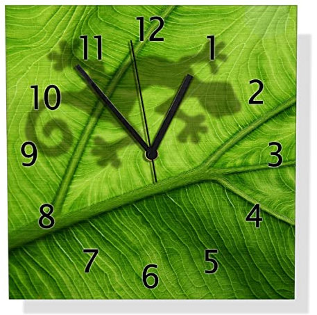 Wallario Design Wanduhr Gecko Schatten auf grünem Blatt - Umriss aus Aluverbund, Alu-Uhr Größe 30 x 30 cm, Schwarze Zeiger mit Metalloptik