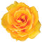 kleberio Selbstklebender Aufkleber Sticker Autoaufkleber wetterfest Blumen Mülltonne Blumenwiese Dekoration Fensterbild Fliesenaufkleber 10 x 10 cm - Gelbe Rose -