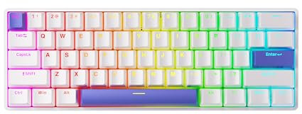 DrunkDeer G60 Rapid Trigger Mechanische Gaming-Tastatur, TKL Magnetschalter, RGB-PBT-Tastenkappen, kompakt, 60% Layout, 61 Tasten, USB-verkabelt, Weiß